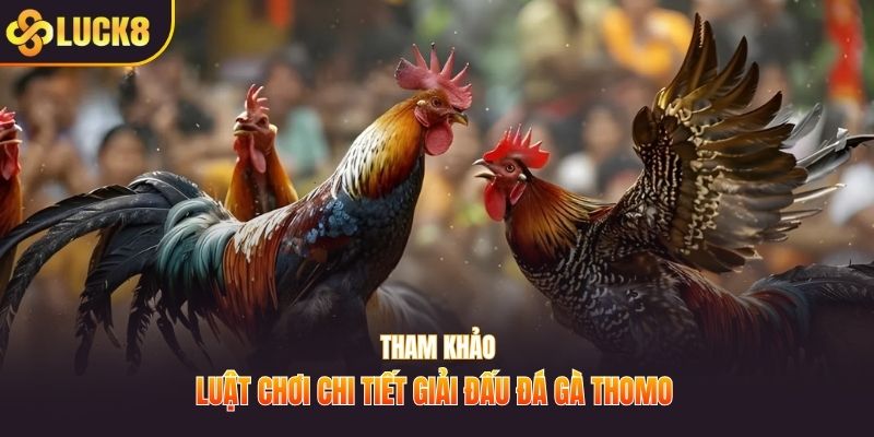 Tham khảo luật chơi chi tiết giải đấu đá gà thomo
