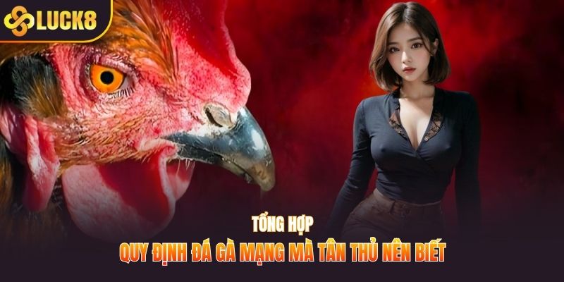 Tổng hợp quy định đá gà mạng mà tân thủ nên biết